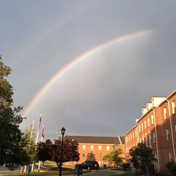 Meet your Posher, Janet - Picture 1 of 1